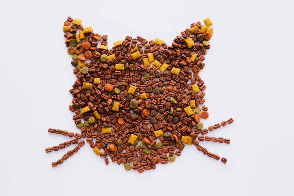 comida natural para gatos