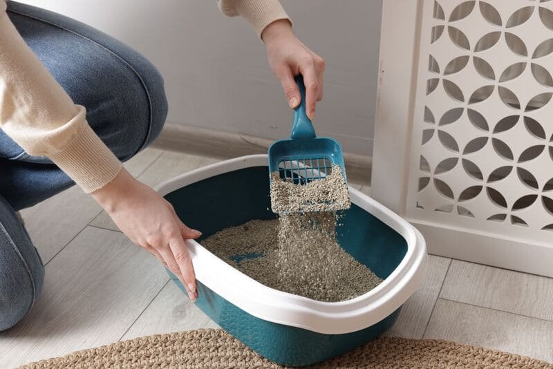 persona limpiando arenero gato